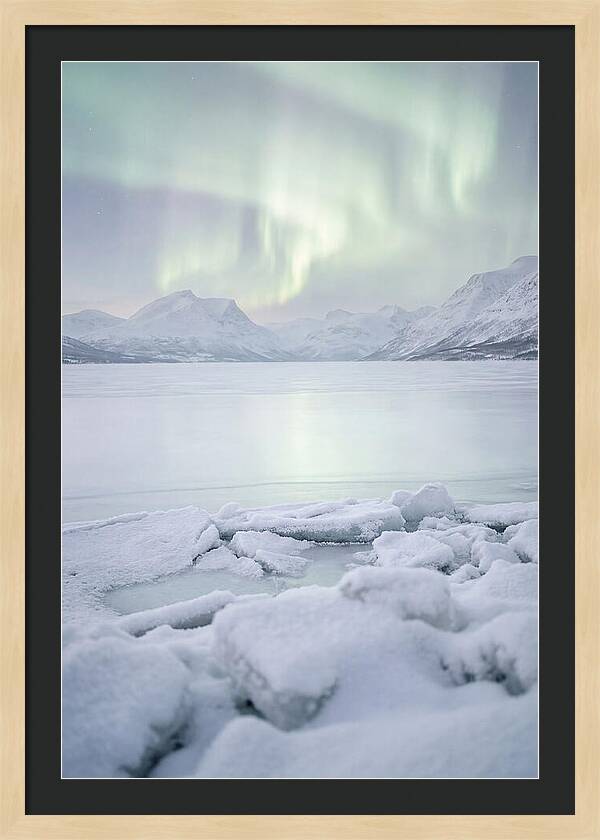 Auroras Above Tornetrask Lake