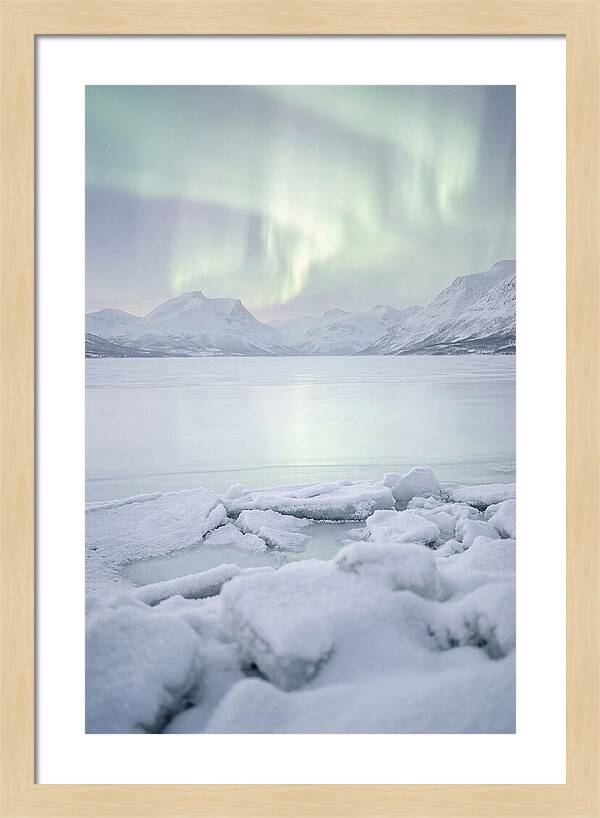 Auroras Above Tornetrask Lake
