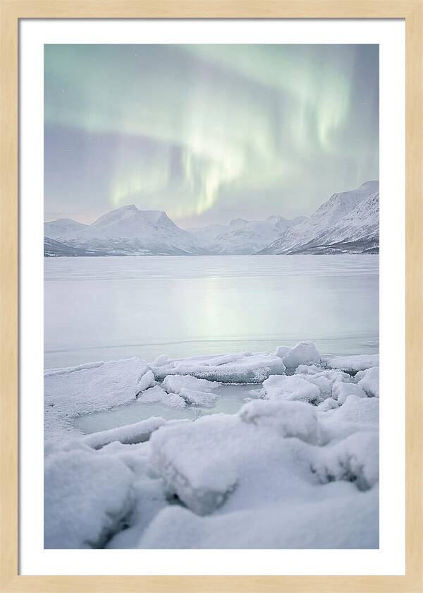 Auroras Above Tornetrask Lake