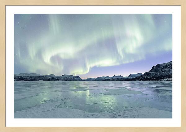 Auroras Dancing Above Tornetrask Lake