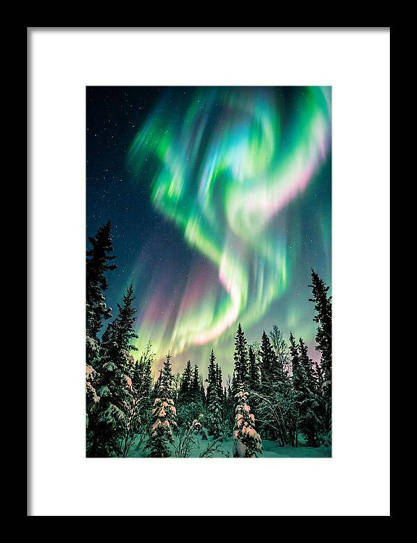 Auroras Over Alaskan Landscape
