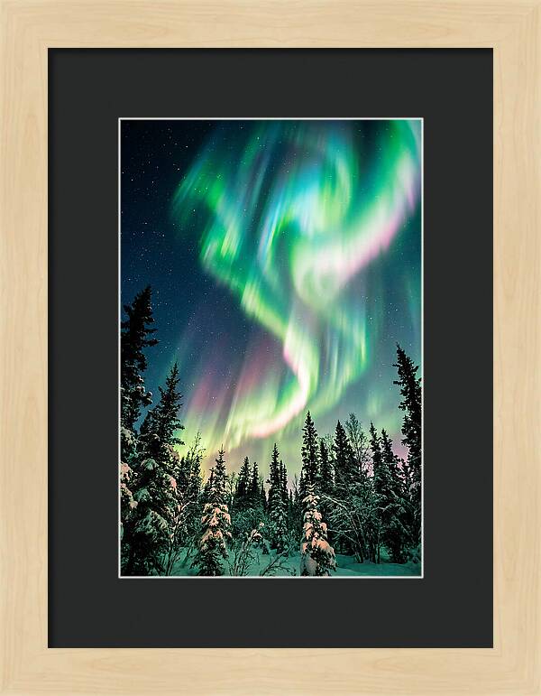 Auroras Over Alaskan Landscape