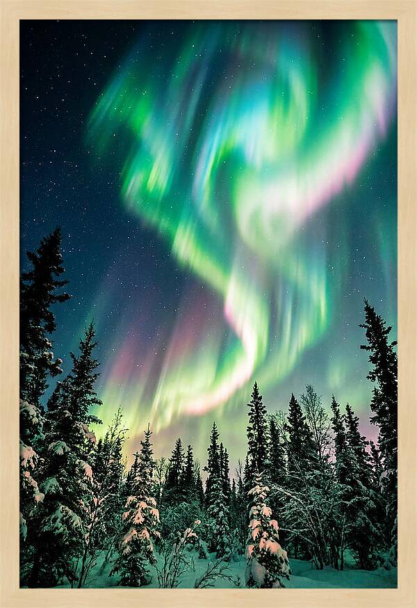Auroras Over Alaskan Landscape