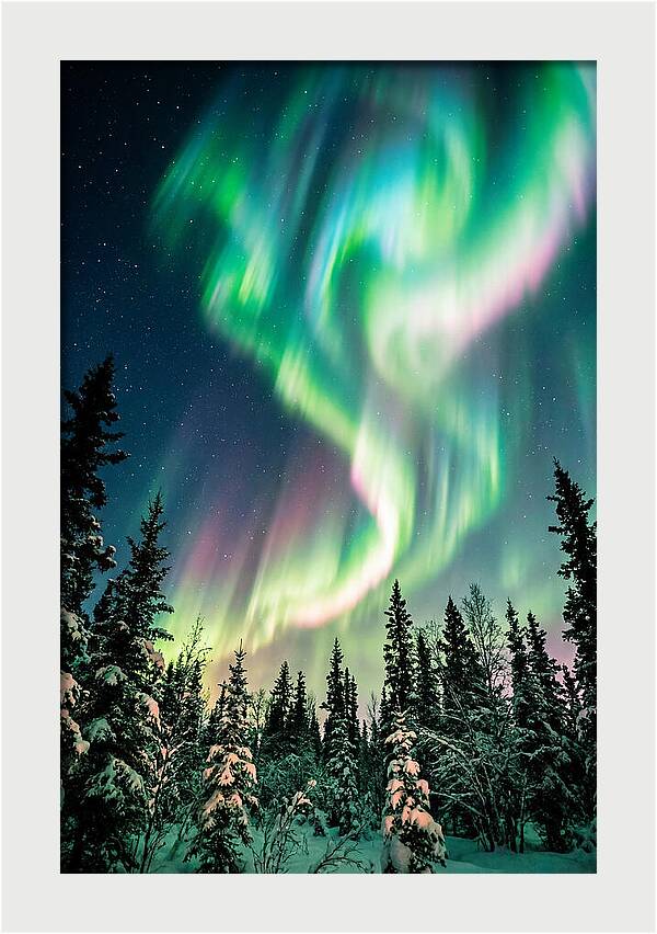Auroras Over Alaskan Landscape