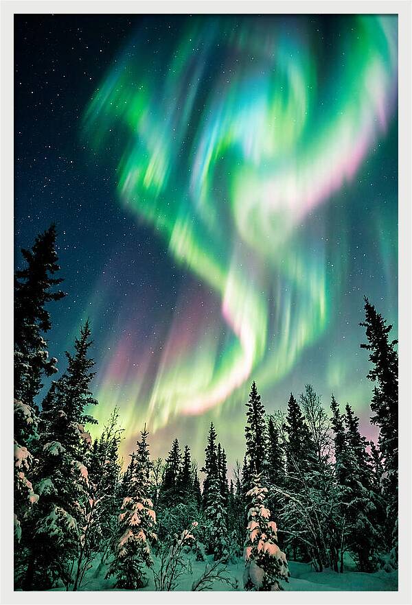 Auroras Over Alaskan Landscape