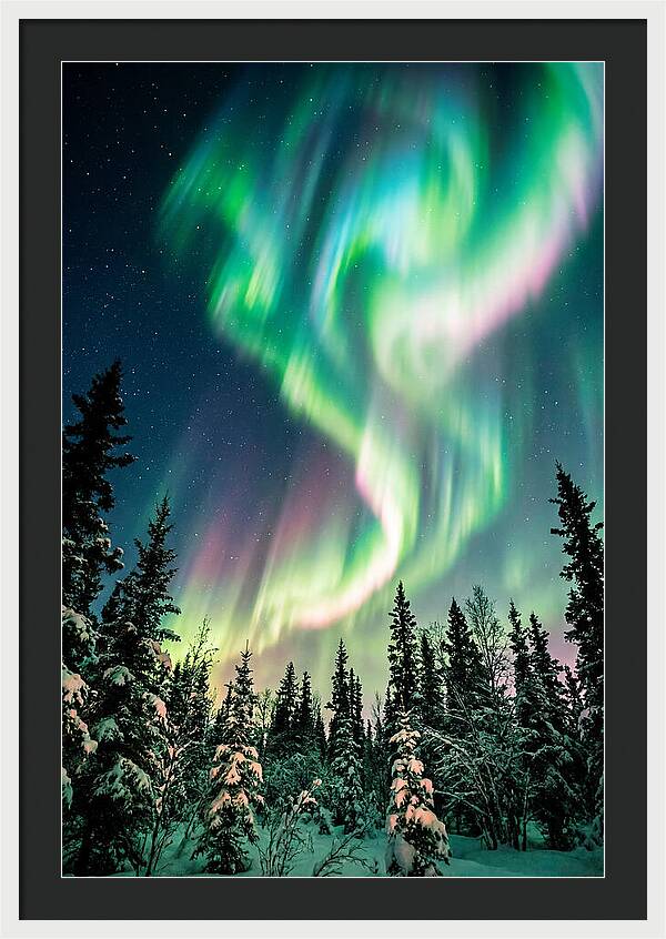 Auroras Over Alaskan Landscape