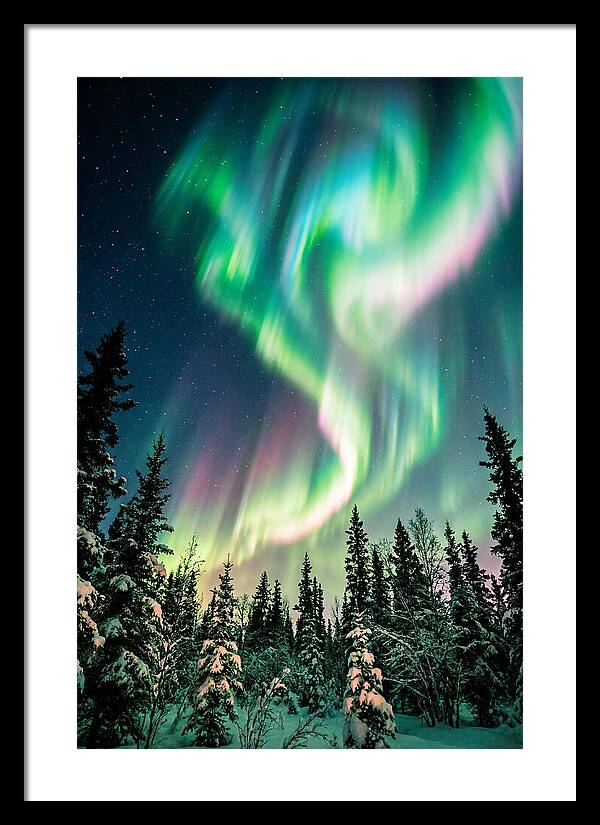 Auroras Over Alaskan Landscape