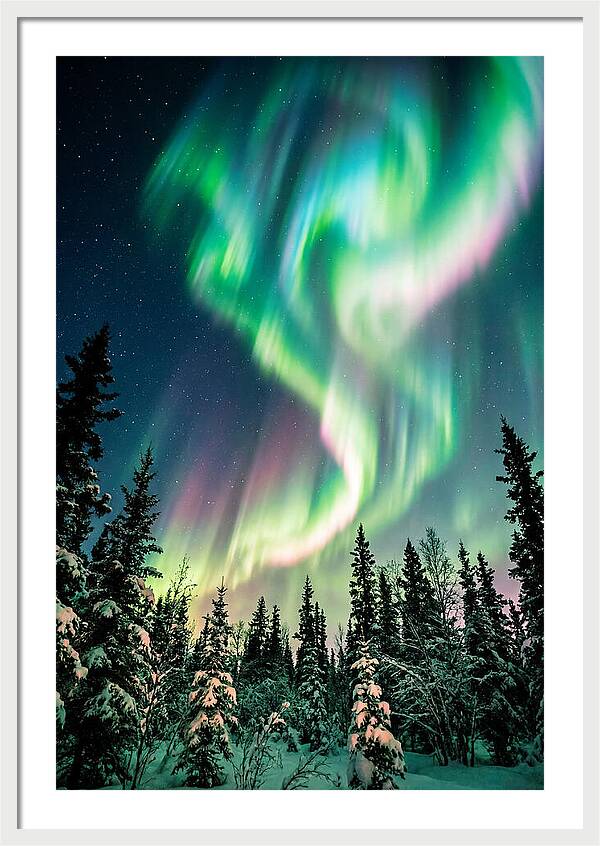 Auroras Over Alaskan Landscape