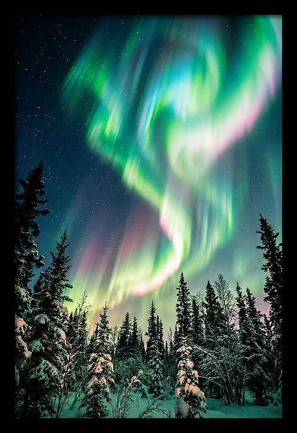 Auroras Over Alaskan Landscape