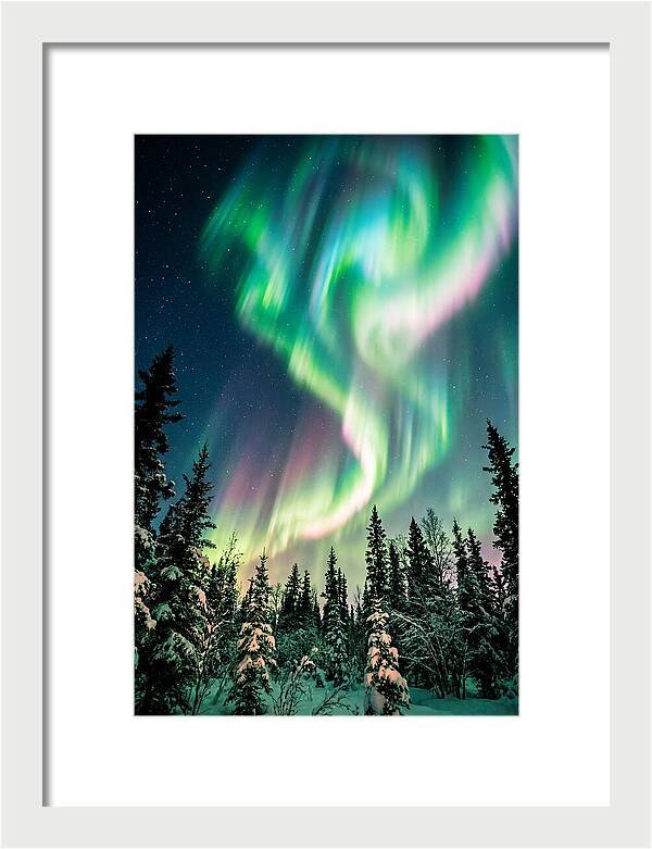 Auroras Over Alaskan Landscape