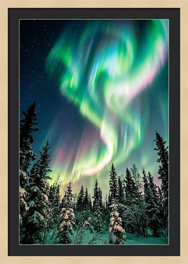 Auroras Over Alaskan Landscape
