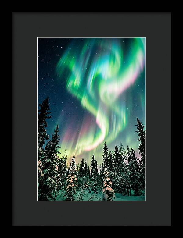 Auroras Over Alaskan Landscape