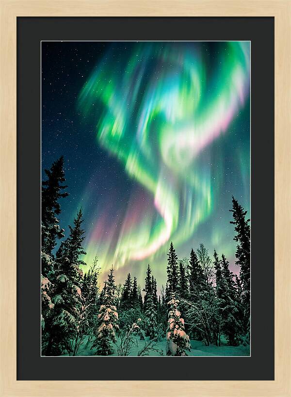 Auroras Over Alaskan Landscape