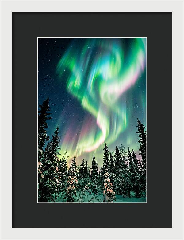 Auroras Over Alaskan Landscape