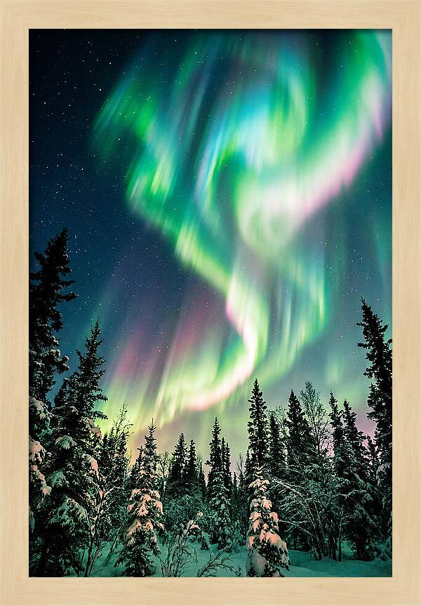 Auroras Over Alaskan Landscape