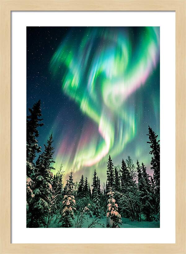 Auroras Over Alaskan Landscape