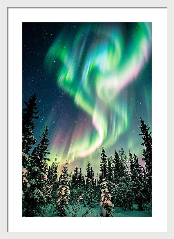 Auroras Over Alaskan Landscape