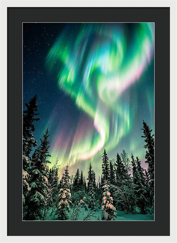 Auroras Over Alaskan Landscape