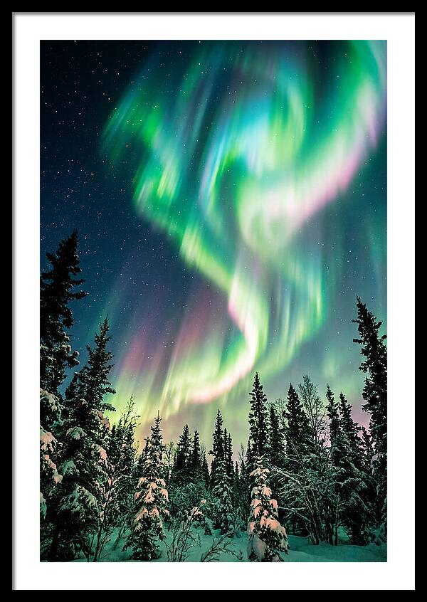 Auroras Over Alaskan Landscape