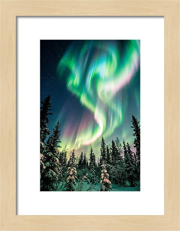 Auroras Over Alaskan Landscape