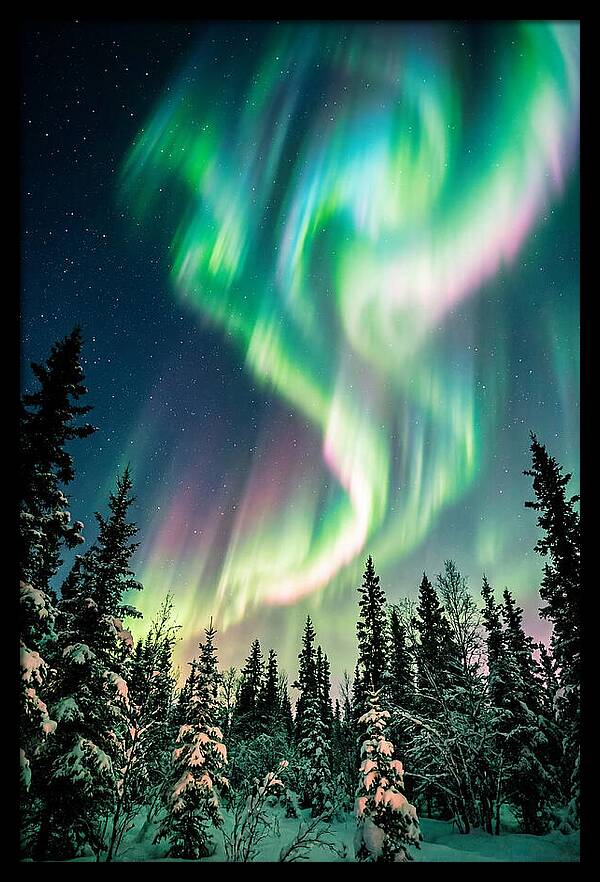 Auroras Over Alaskan Landscape