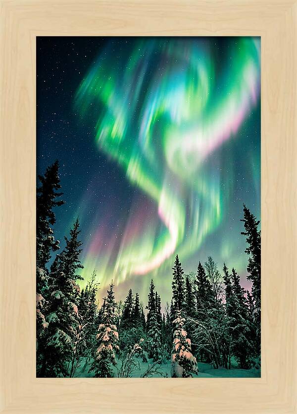 Auroras Over Alaskan Landscape