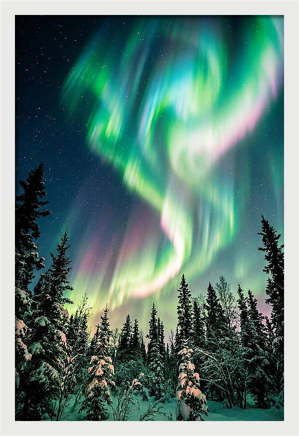 Auroras Over Alaskan Landscape
