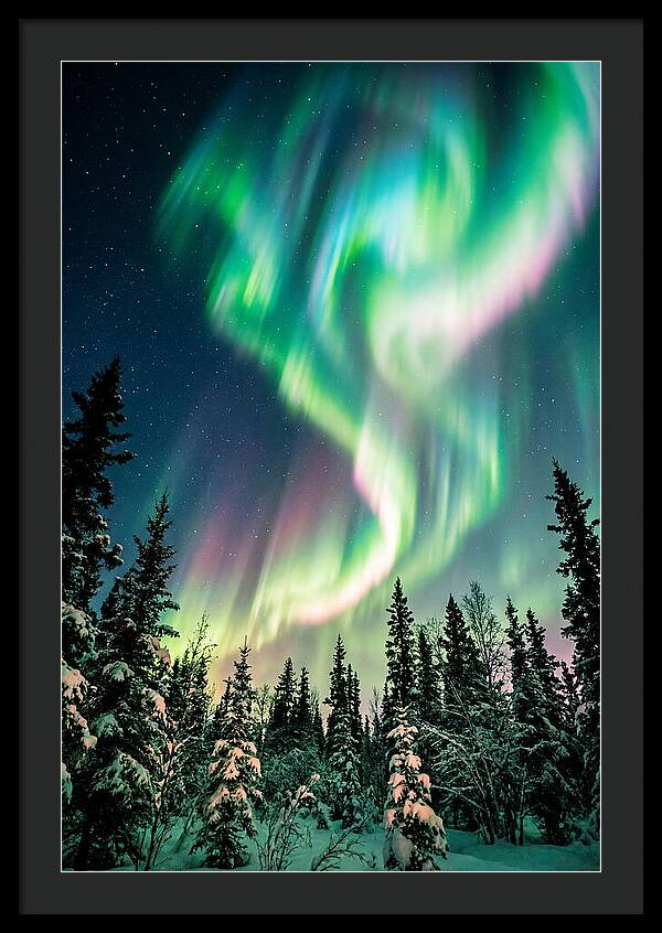 Auroras Over Alaskan Landscape