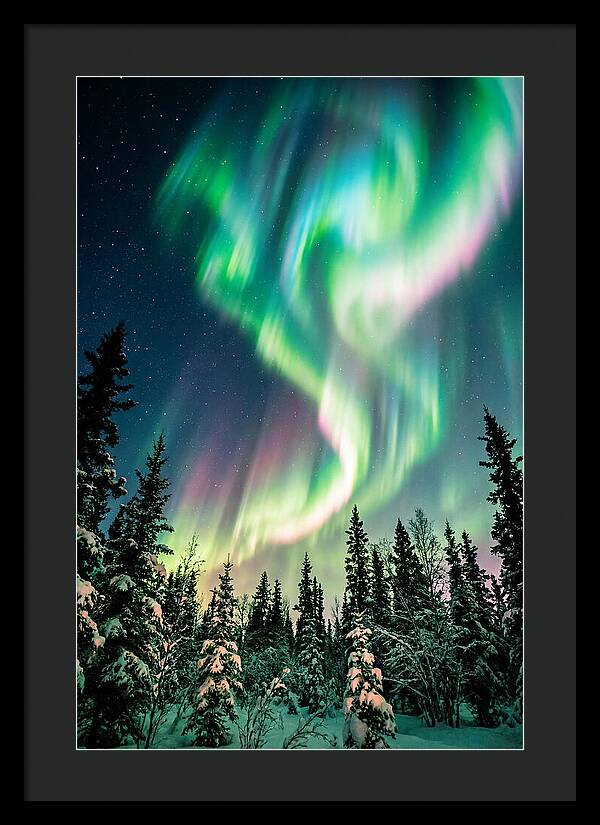 Auroras Over Alaskan Landscape