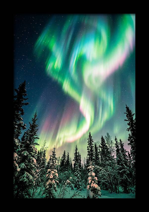 Auroras Over Alaskan Landscape