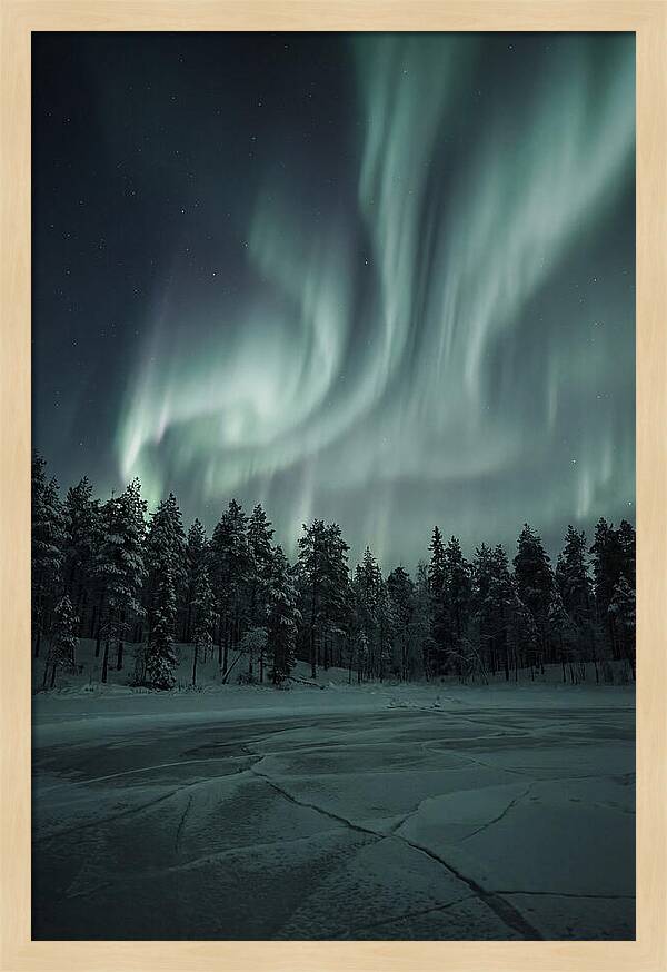 Auroras Over Finlands Wild Landscape