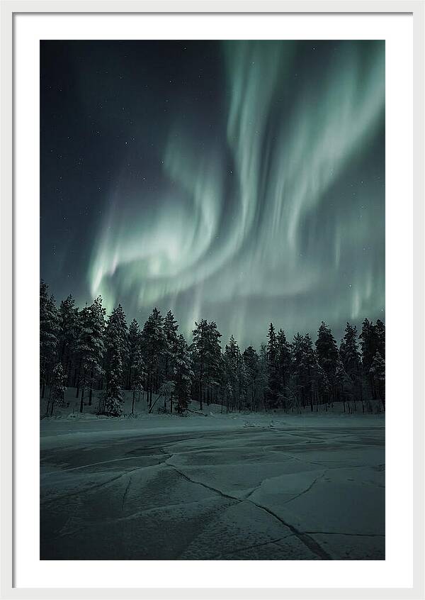 Auroras Over Finlands Wild Landscape
