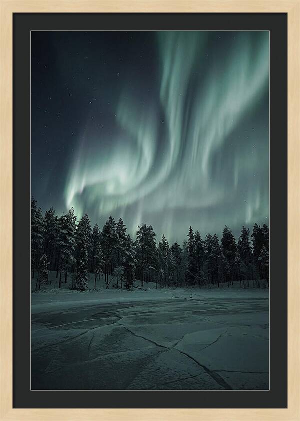 Auroras Over Finlands Wild Landscape