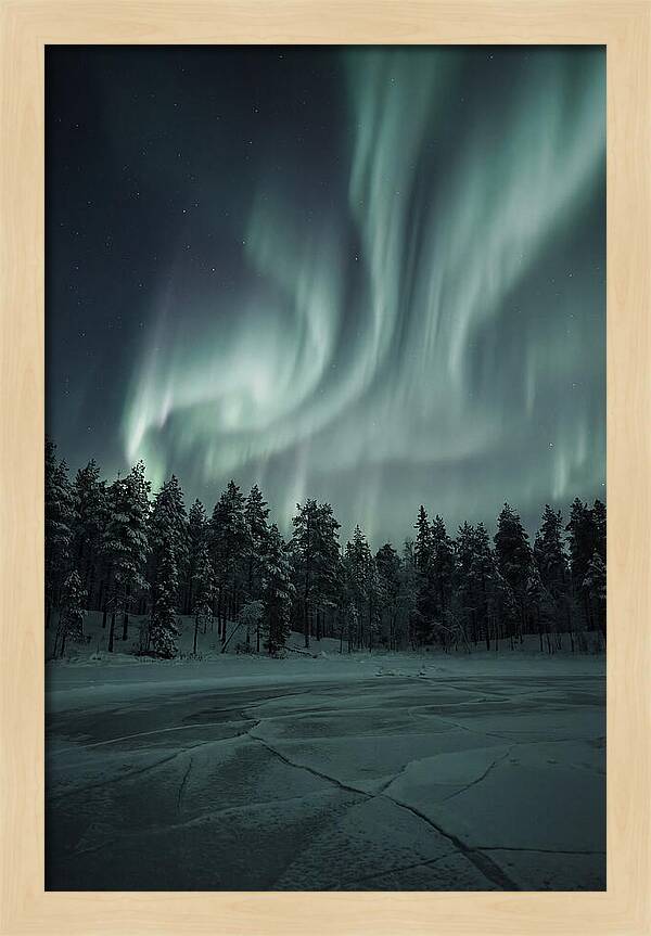 Auroras Over Finlands Wild Landscape