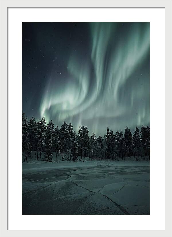 Auroras Over Finlands Wild Landscape