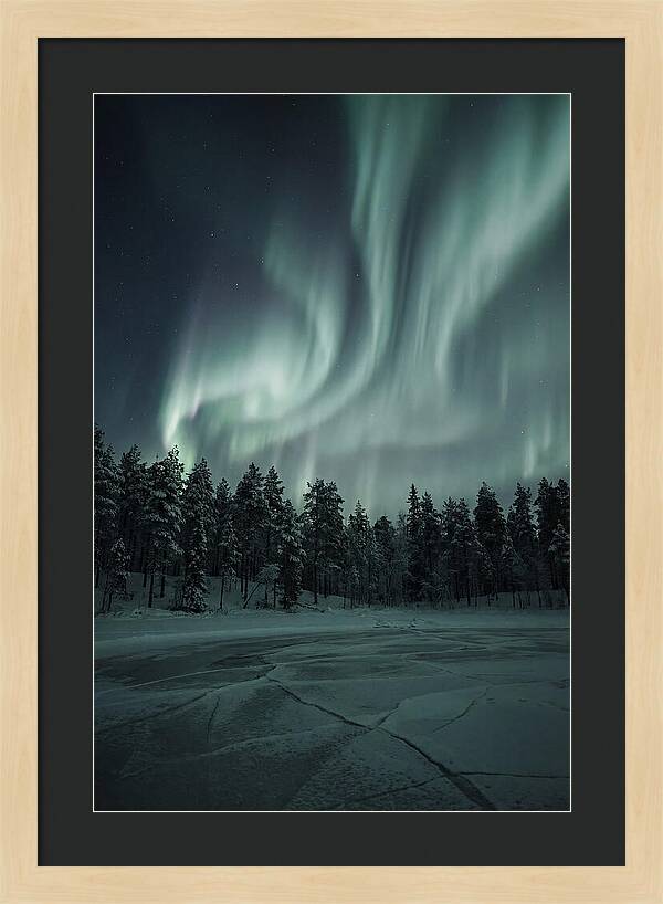 Auroras Over Finlands Wild Landscape