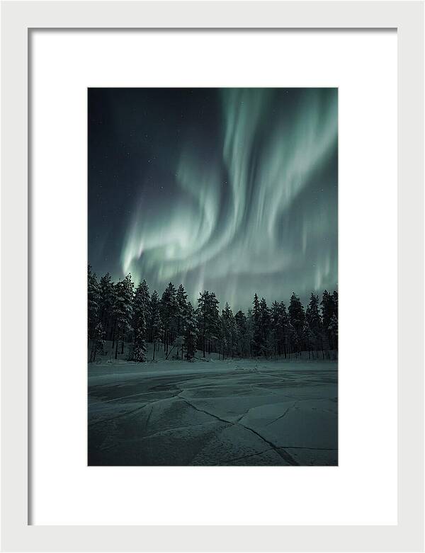 Auroras Over Finlands Wild Landscape