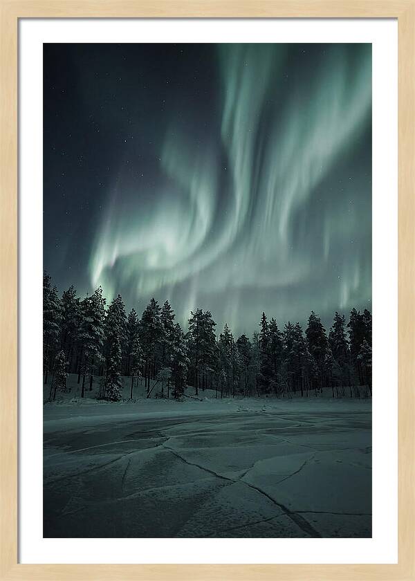 Auroras Over Finlands Wild Landscape