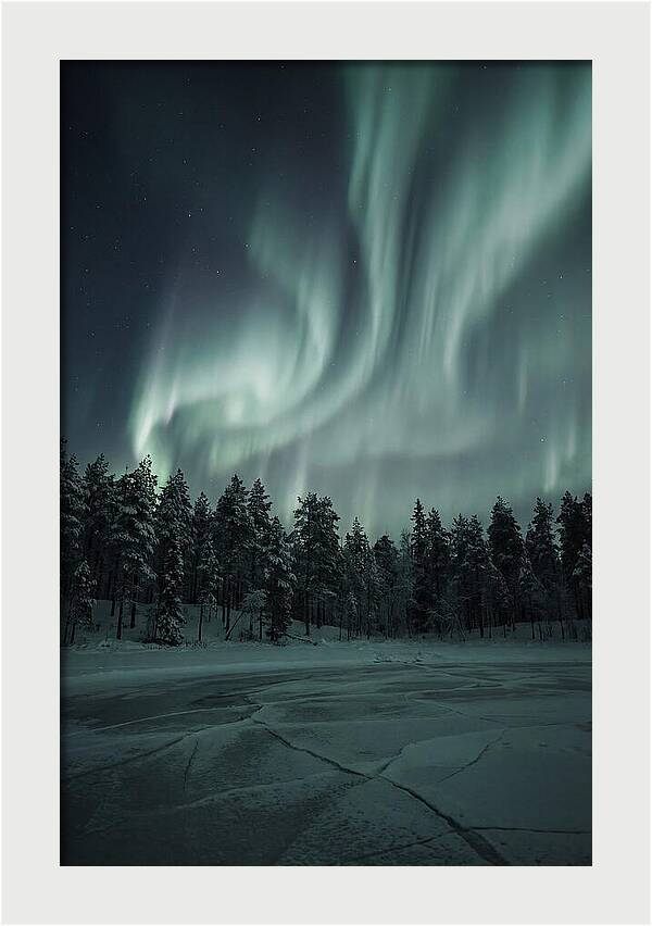 Auroras Over Finlands Wild Landscape