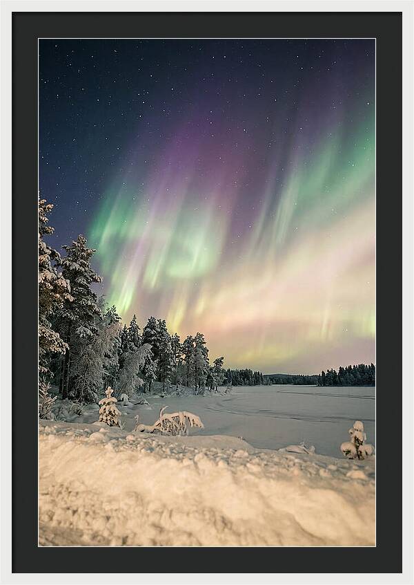 Auroras Over Finnish Landscape