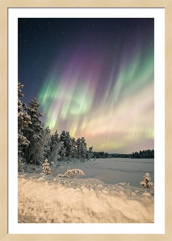Auroras Over Finnish Landscape