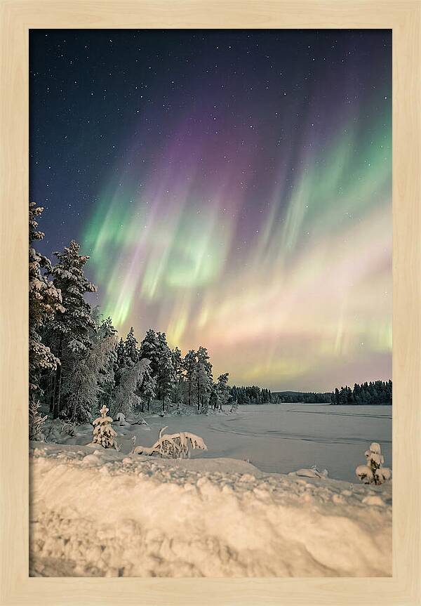 Auroras Over Finnish Landscape