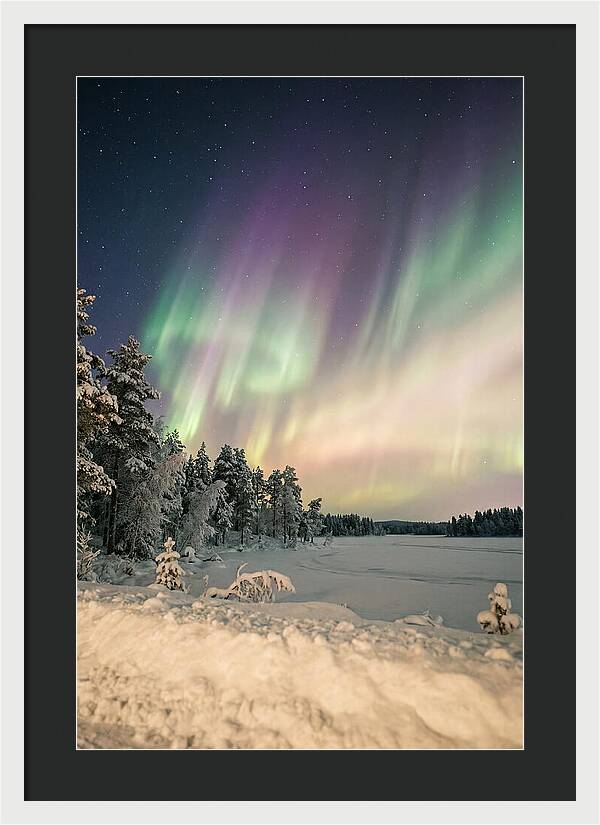 Auroras Over Finnish Landscape