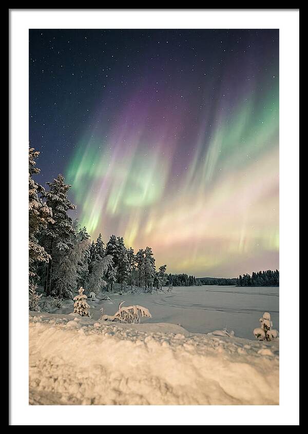 Auroras Over Finnish Landscape