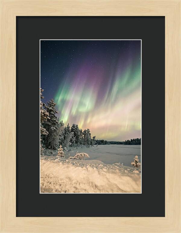 Auroras Over Finnish Landscape