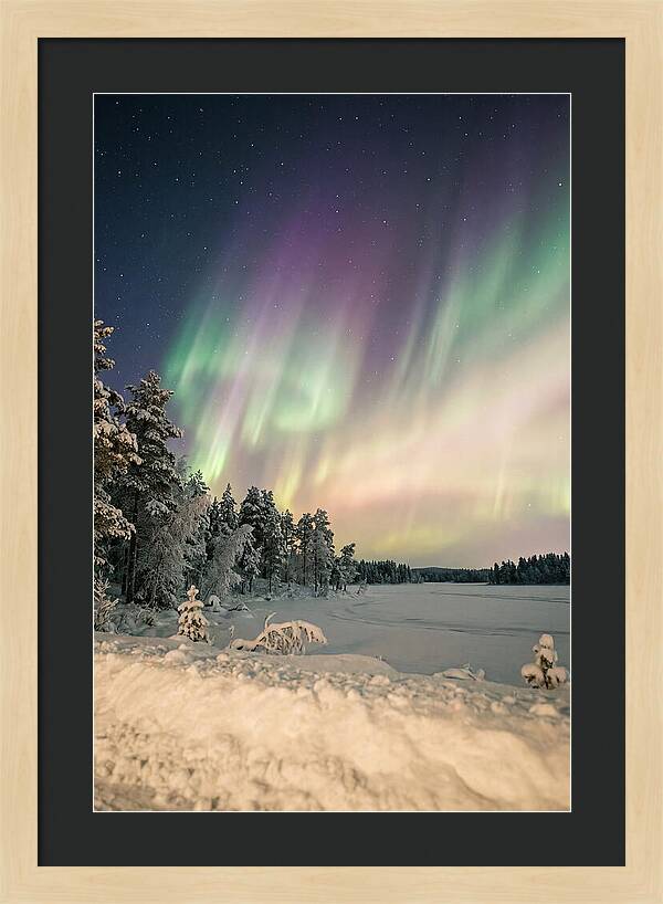 Auroras Over Finnish Landscape