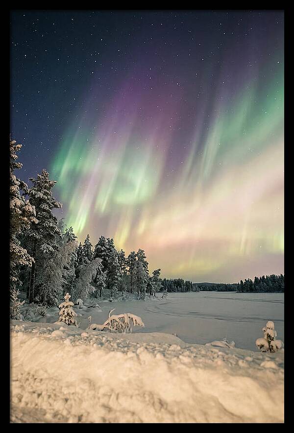 Auroras Over Finnish Landscape