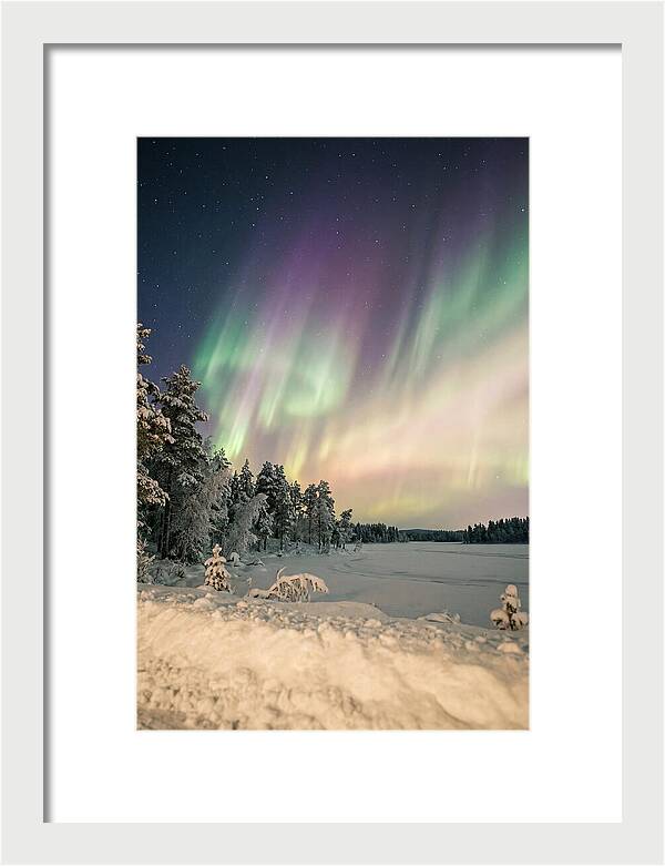 Auroras Over Finnish Landscape