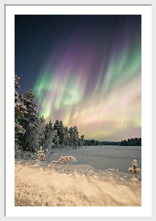 Auroras Over Finnish Landscape