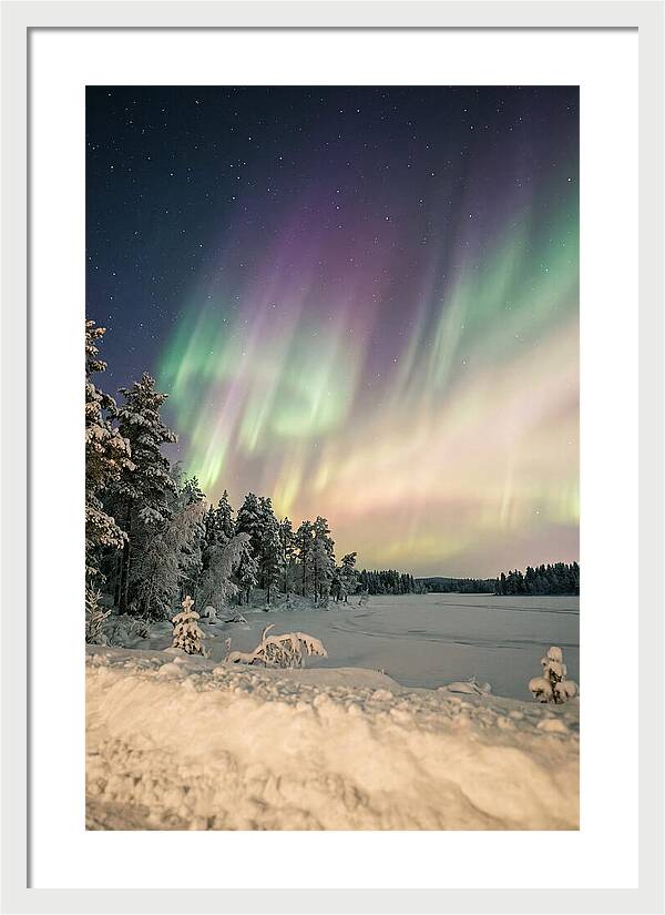 Auroras Over Finnish Landscape
